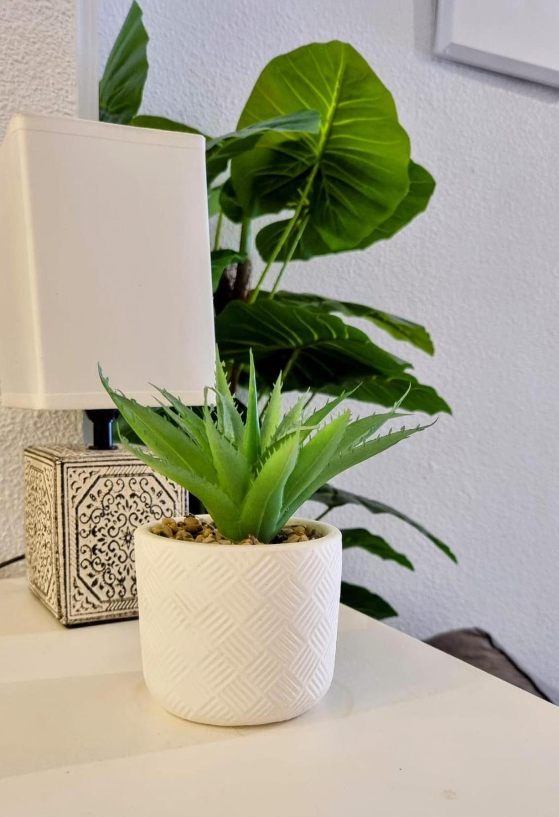 Appartement Seaside Escape *